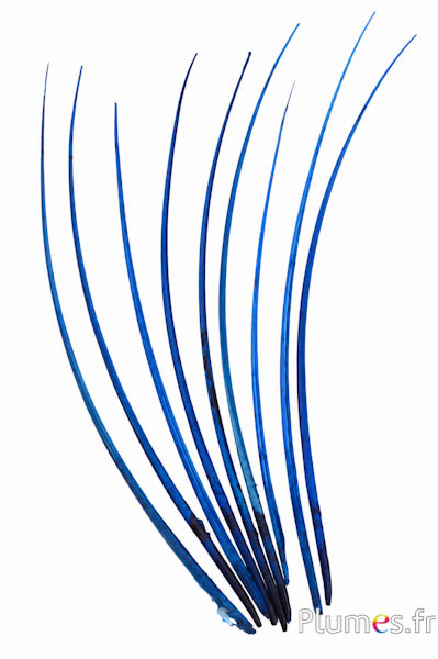 Gans schacht - 25-30 cm - zwart-turquoise